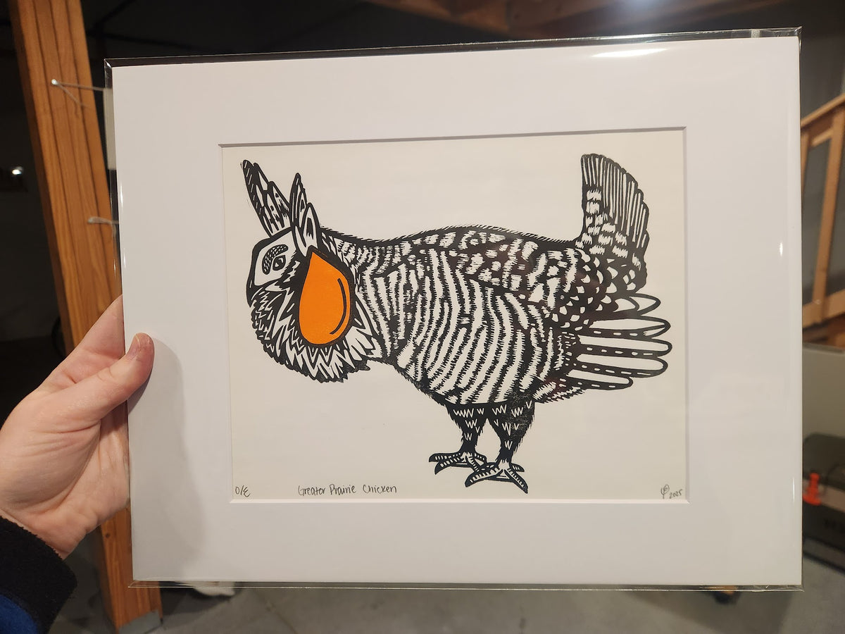 Matted print of a greater prairie chicken bird with an orange air sac.