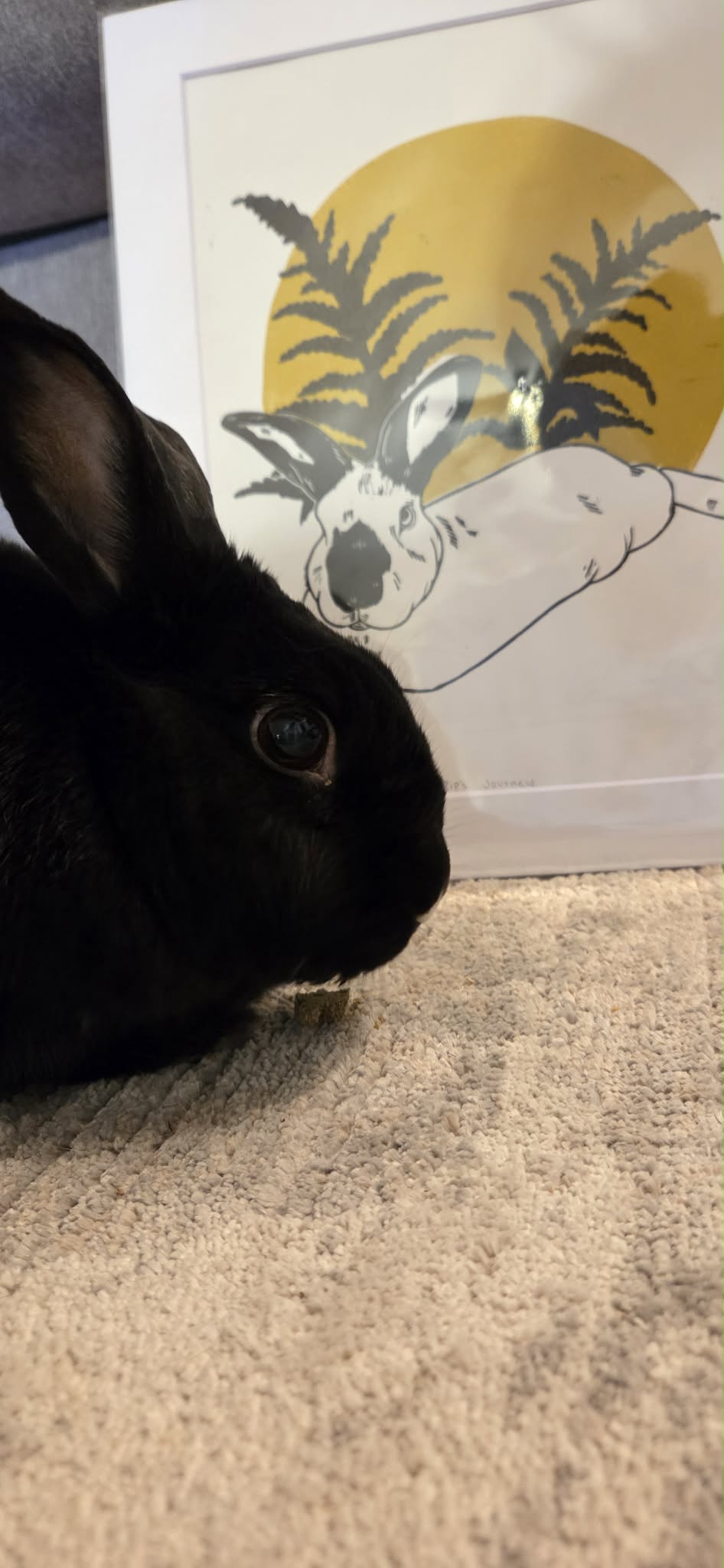 zip's journey print