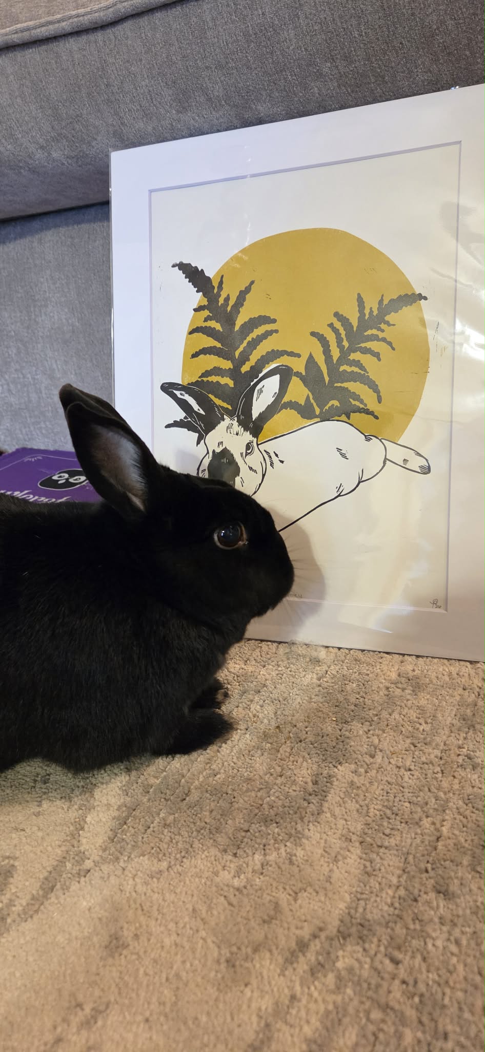 zip's journey print
